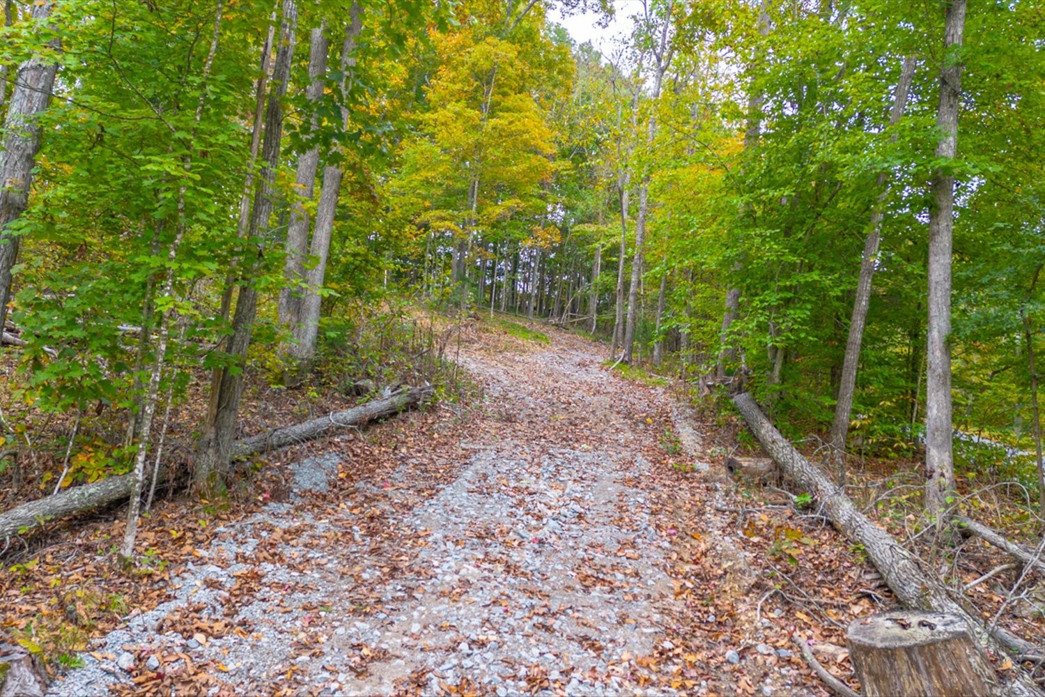 0 Ross Hollow Road Ashland City TN 37015