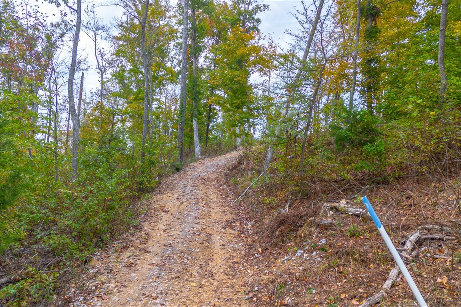 0 Ross Hollow Road Ashland City TN 37015