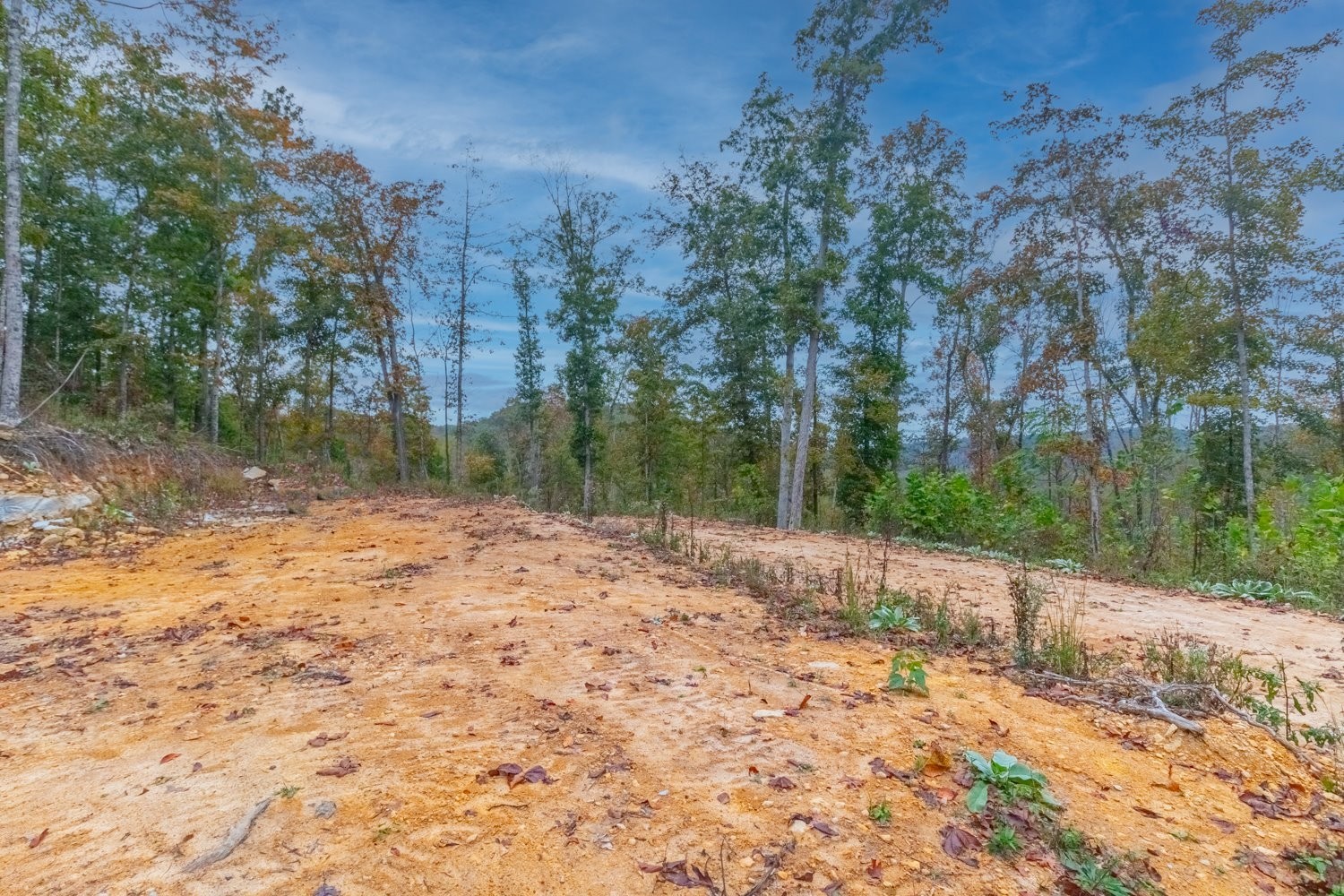 0 Ross Hollow Road Ashland City TN 37015
