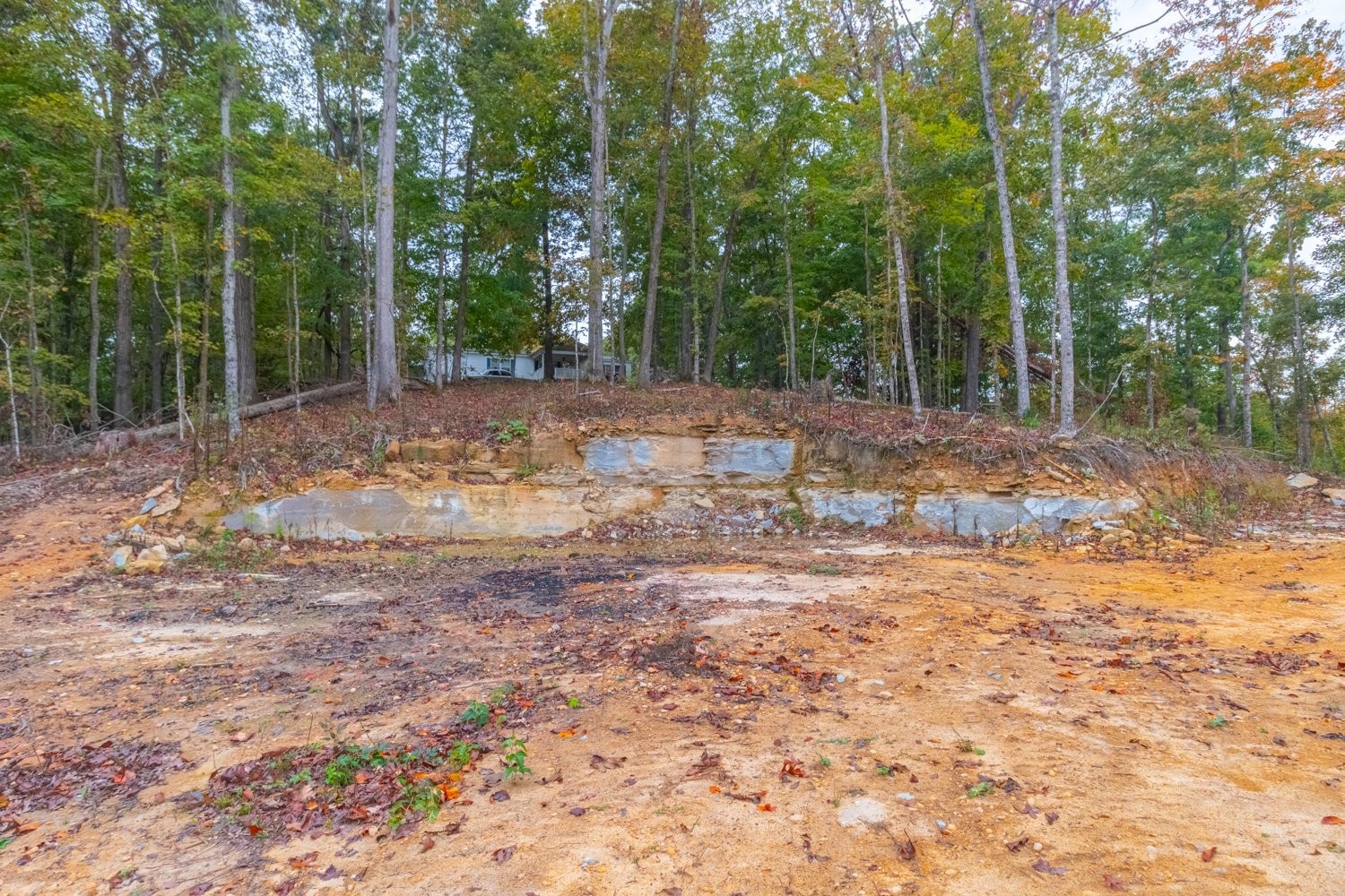 0 Ross Hollow Road Ashland City TN 37015