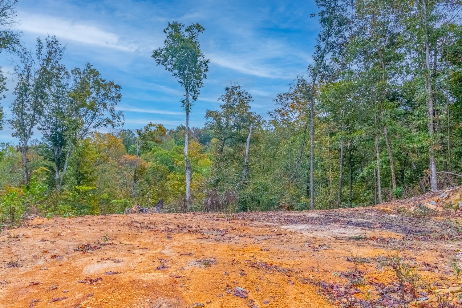 0 Ross Hollow Road Ashland City TN 37015