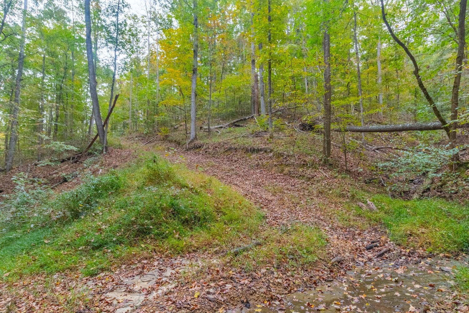 0 Ross Hollow Road Ashland City TN 37015