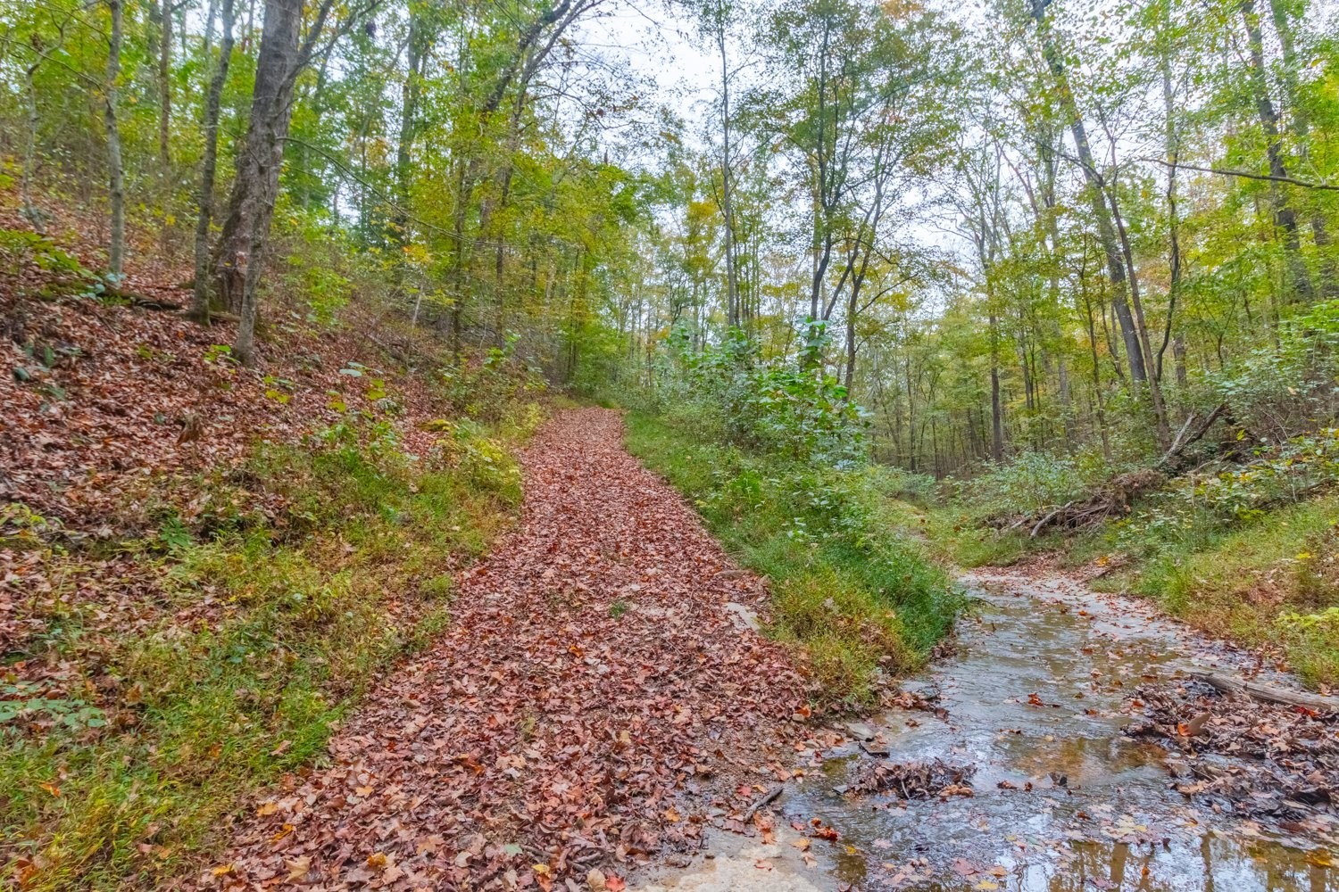 0 Ross Hollow Road Ashland City TN 37015