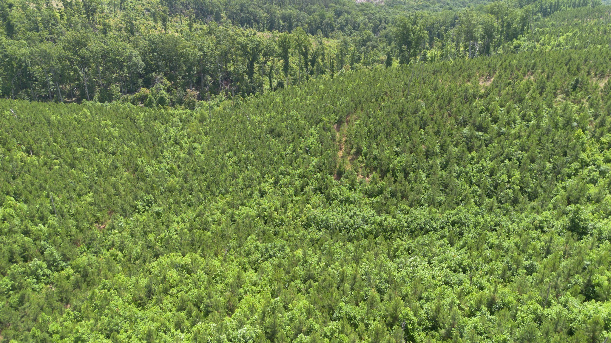 0 Low Gap Road Sugar Tree TN 38380