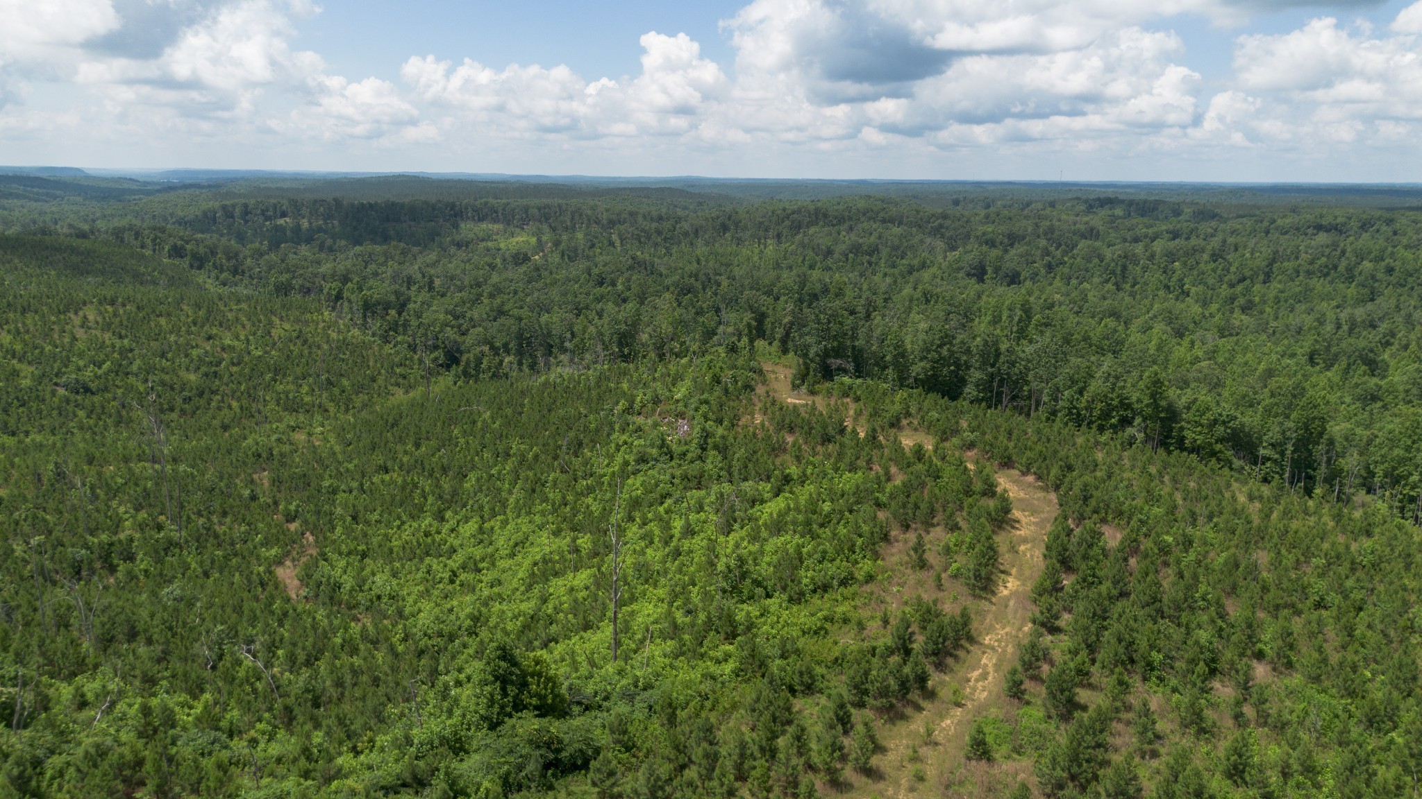 0 Low Gap Road Sugar Tree TN 38380