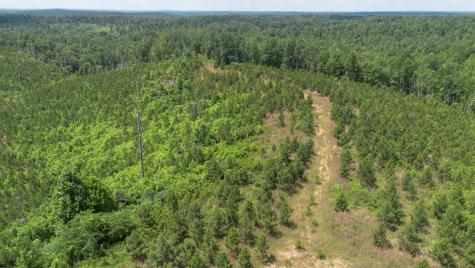 0 Low Gap Road Sugar Tree TN 38380