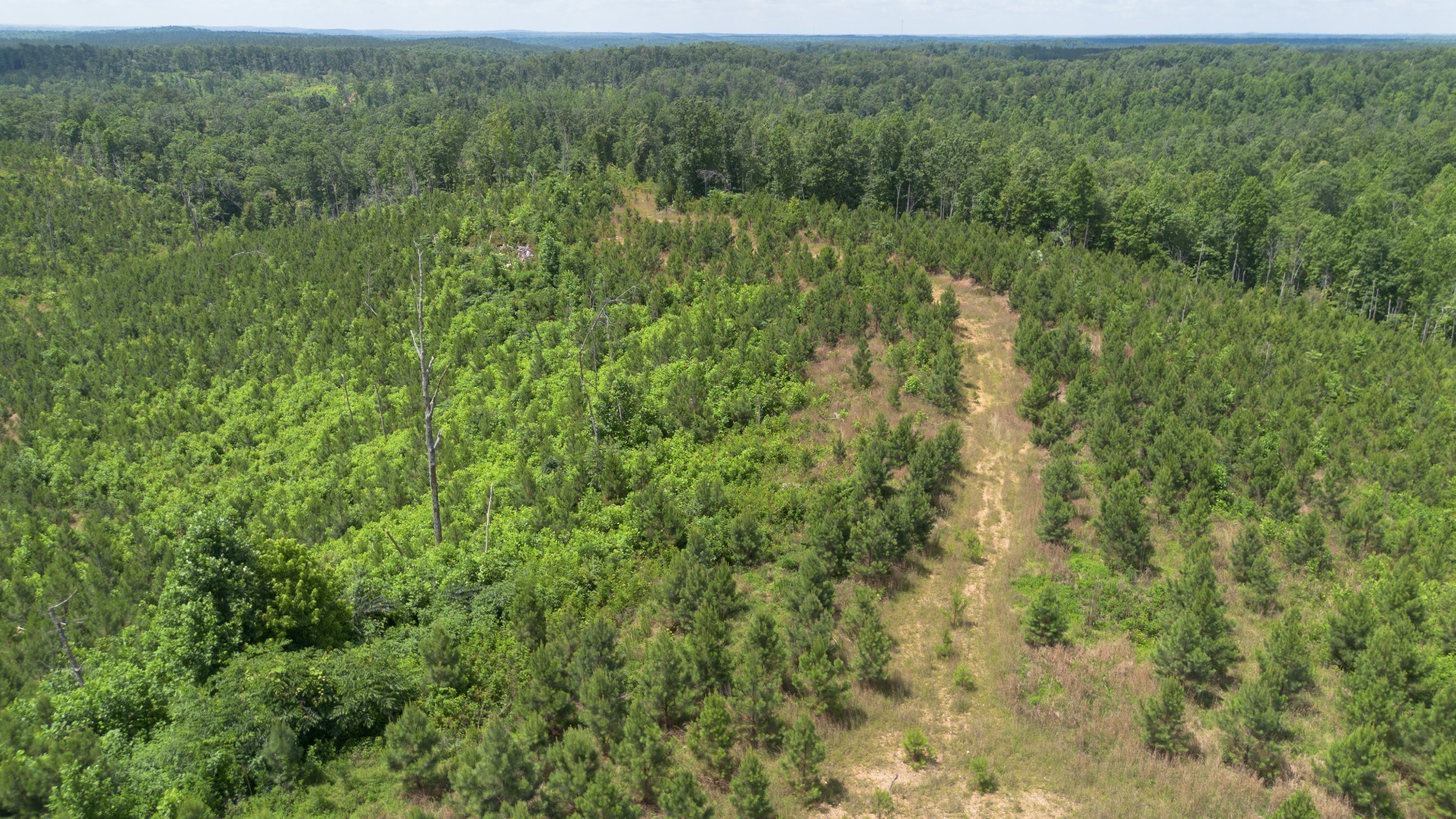 0 Low Gap Road Sugar Tree TN 38380