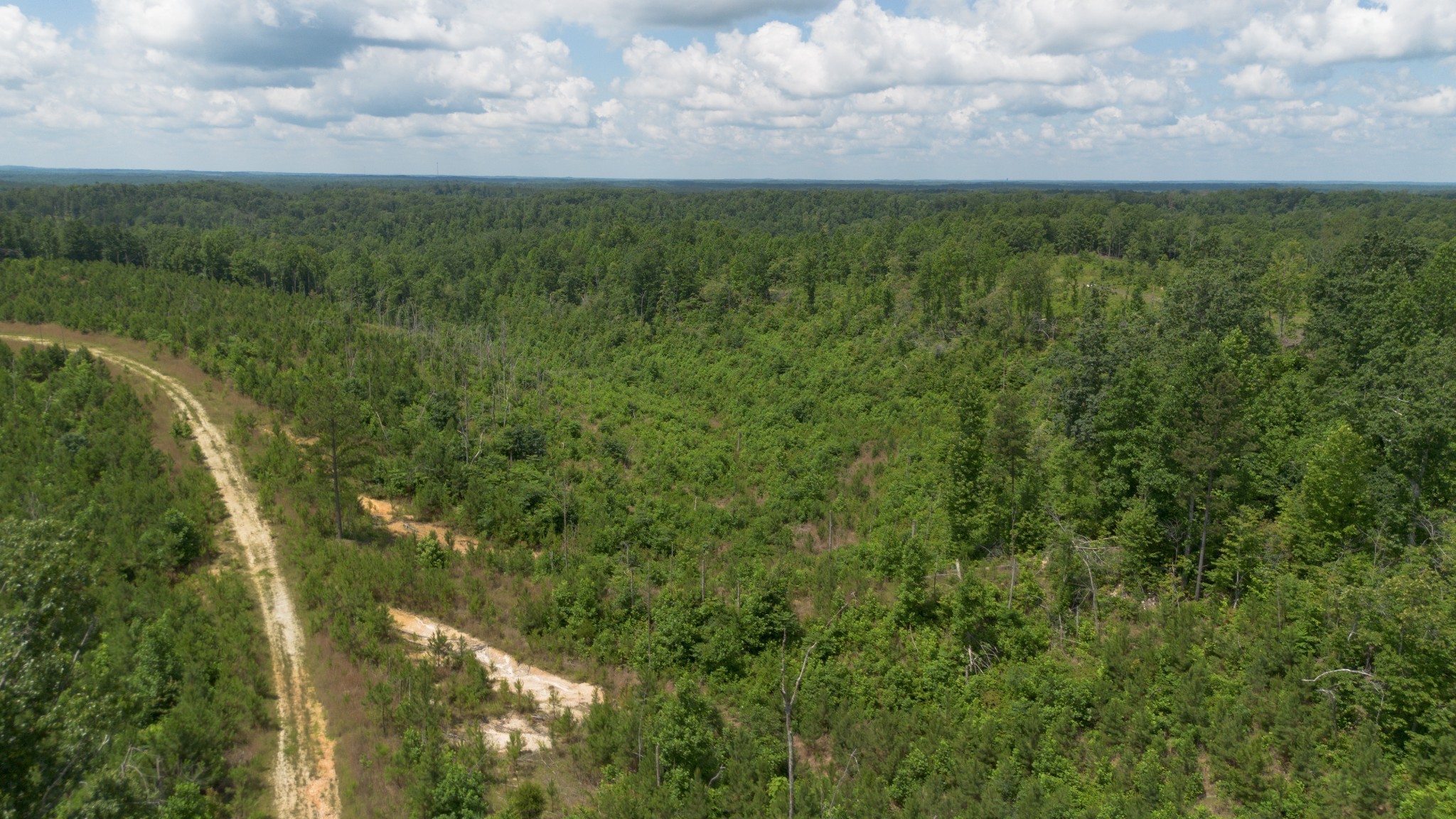 0 Low Gap Road Sugar Tree TN 38380