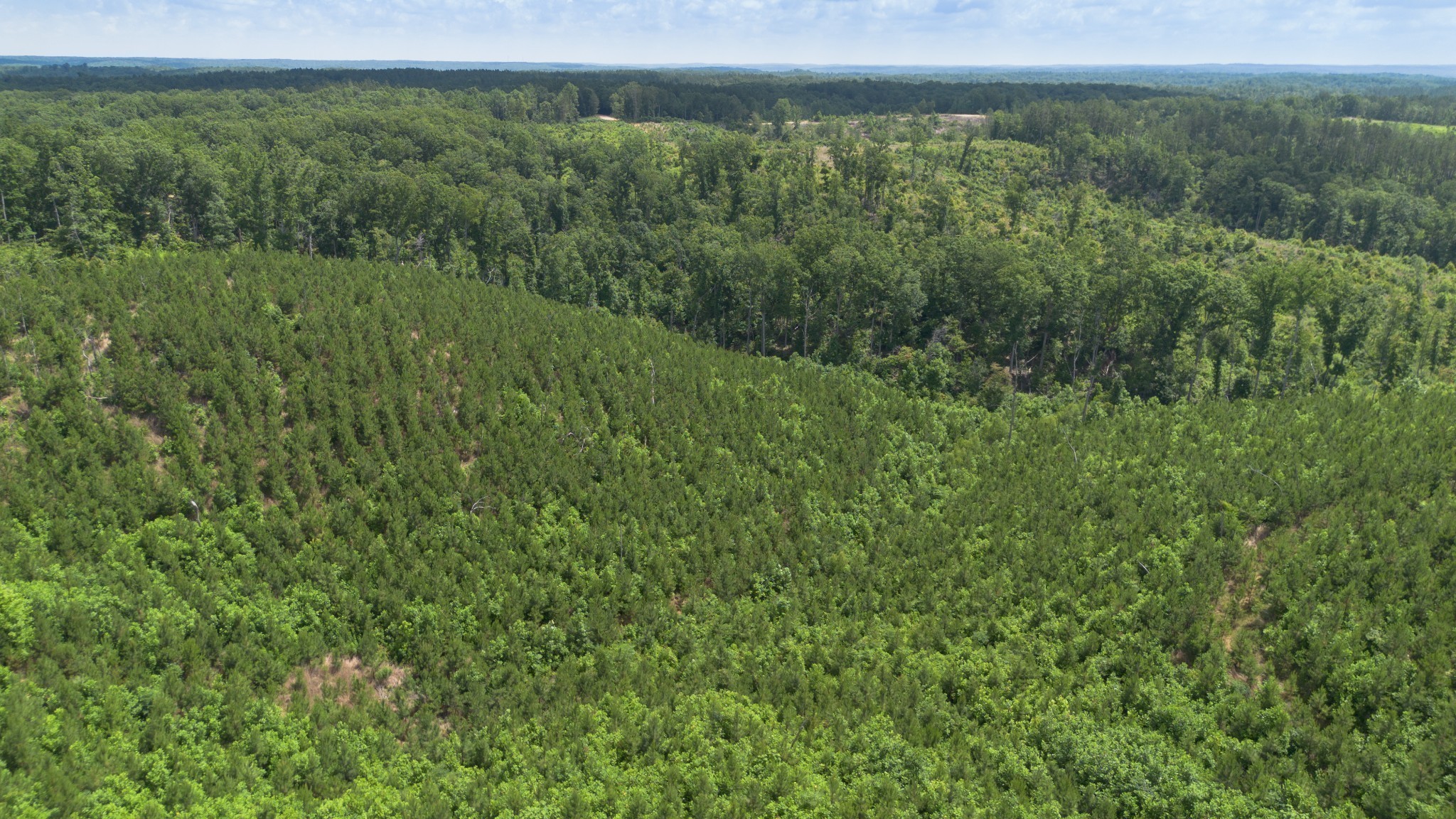 0 Low Gap Road Sugar Tree TN 38380