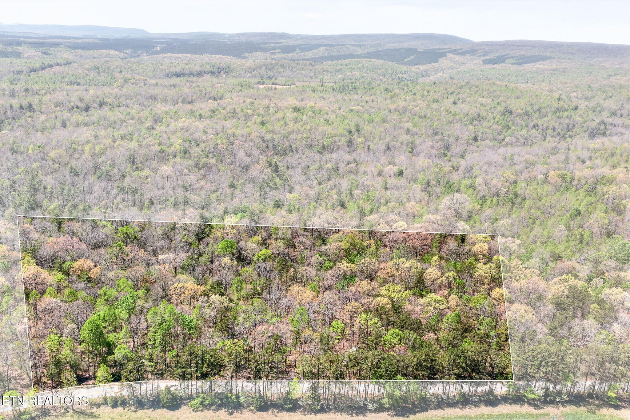 3 Smith Mountain Road Rockwood TN 37854