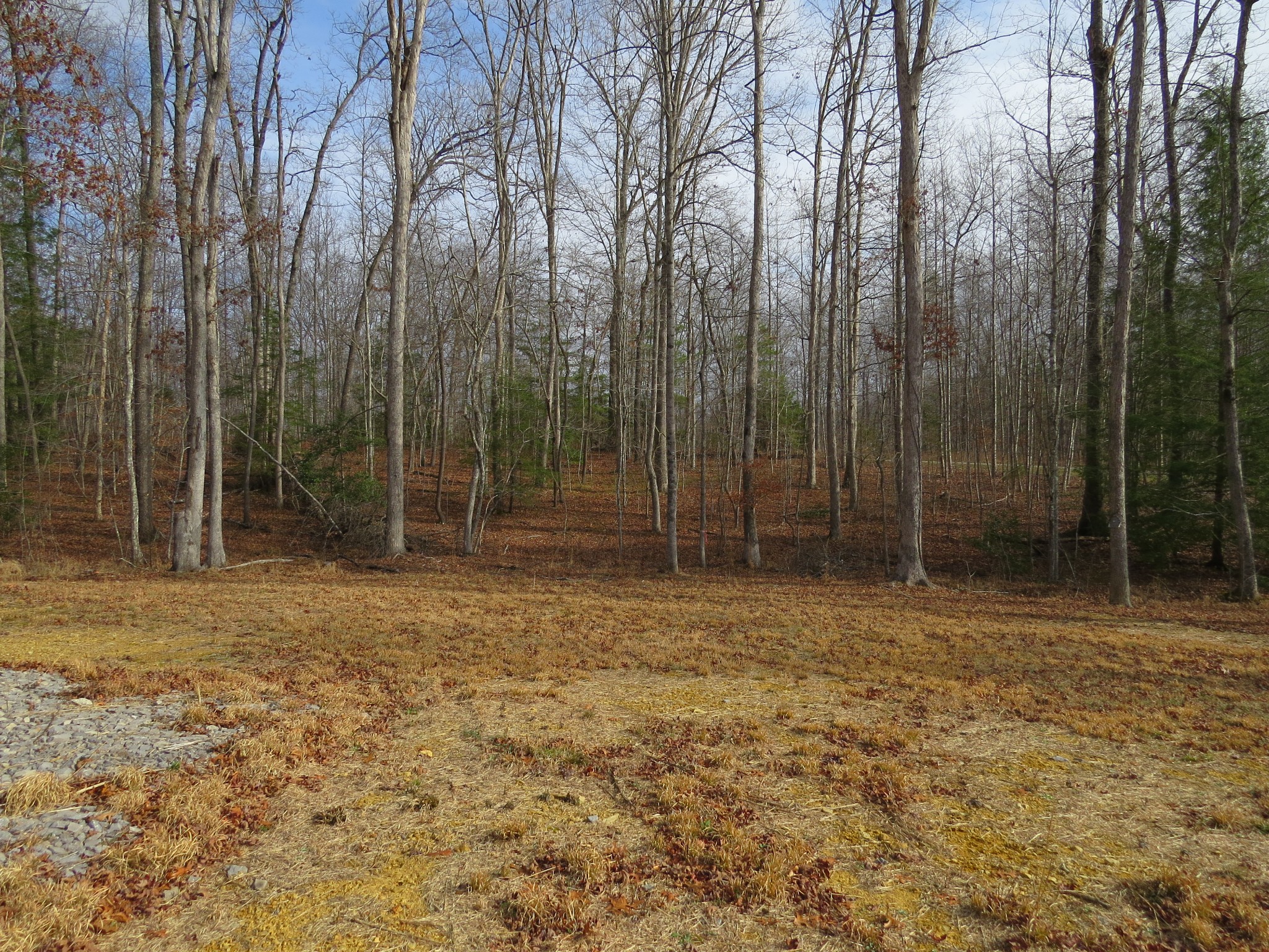 4345 Chapel Hill Road Crawford TN 38554