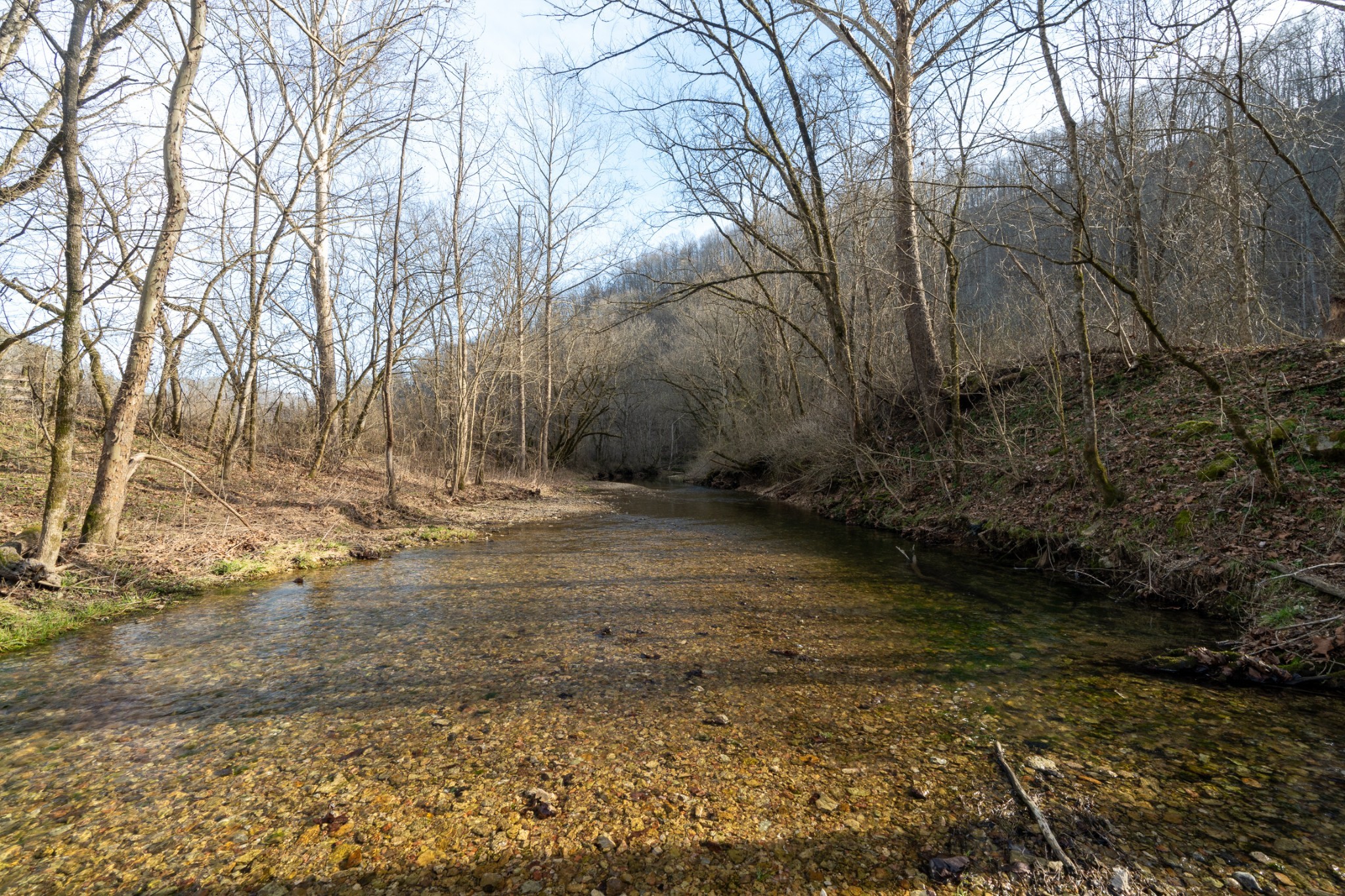 0 Charlie Allen Lane Whitleyville TN 38588