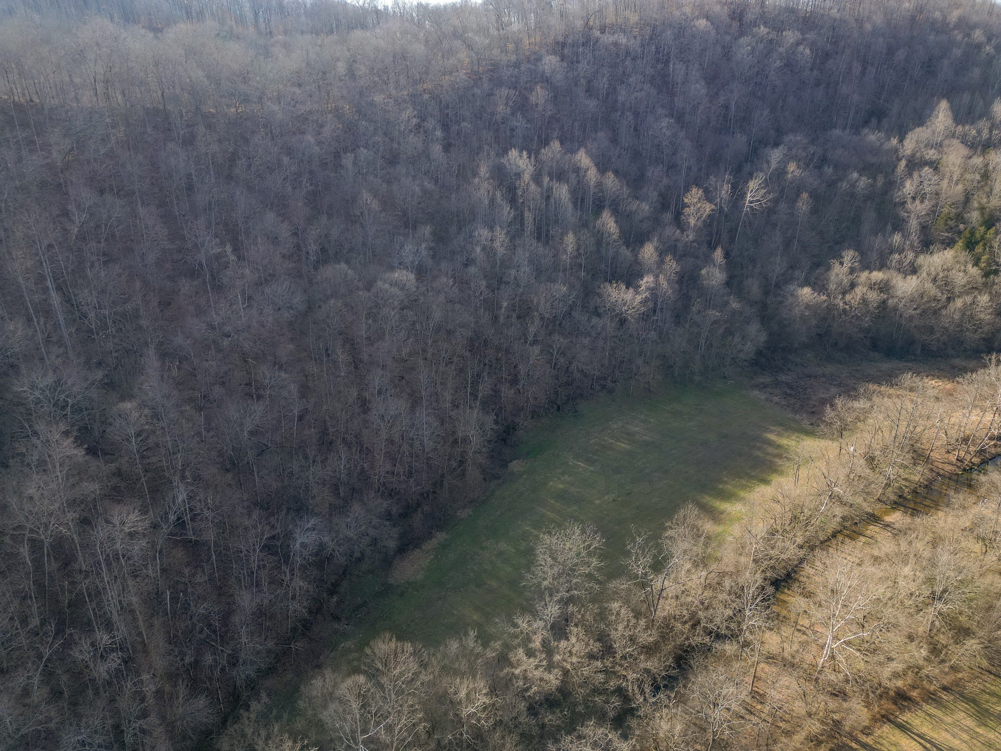 0 Charlie Allen Lane Whitleyville TN 38588