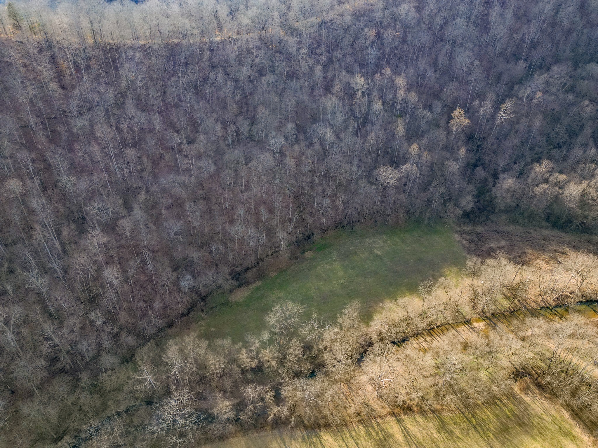 0 Charlie Allen Lane Whitleyville TN 38588
