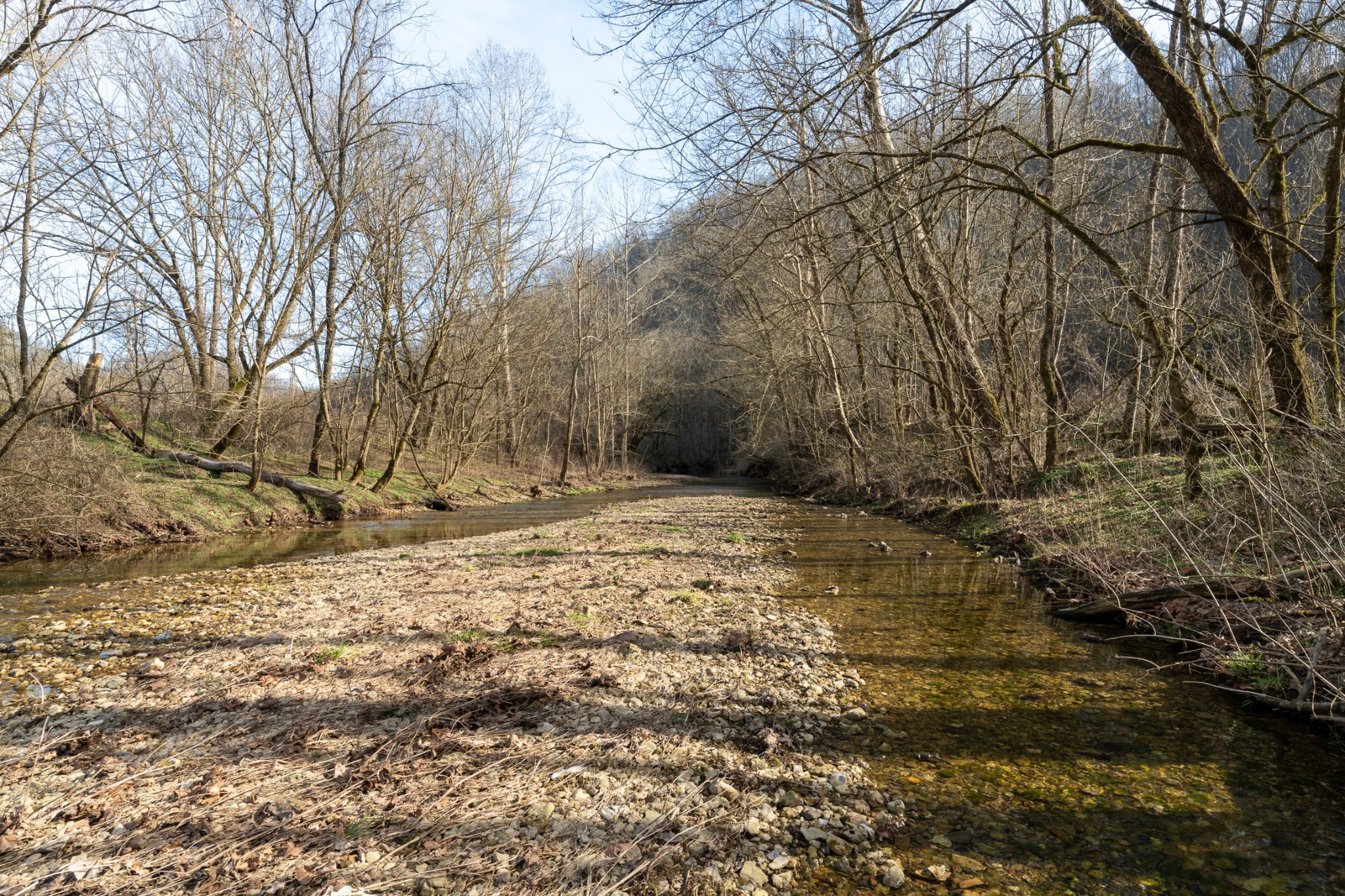 0 Charlie Allen Lane Whitleyville TN 38588