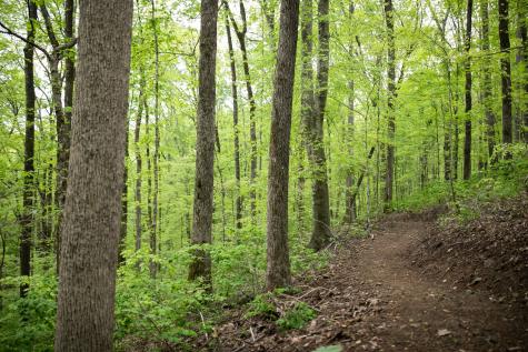 0 Pinewood Road Franklin TN 37064