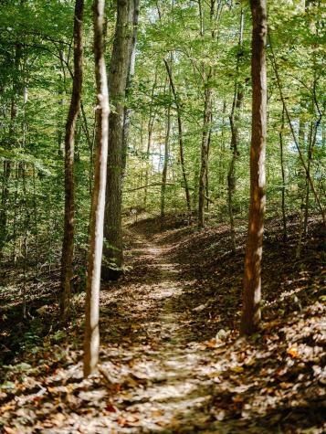 0 Pinewood Road Franklin TN 37064