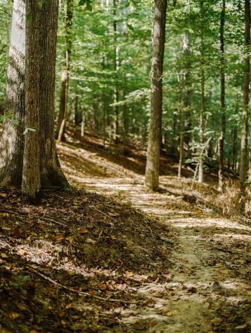 0 Pinewood Road Franklin TN 37064