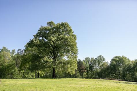 0 Pinewood Road Franklin TN 37064