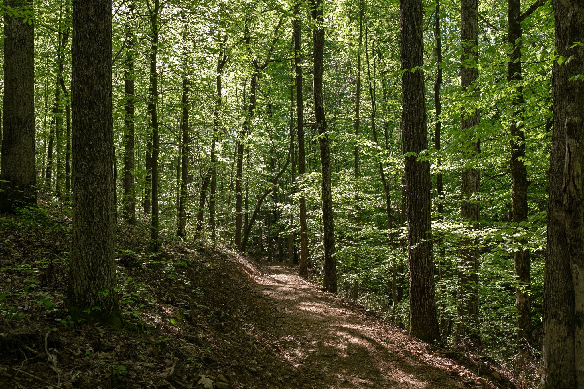 0 Pinewood Road Franklin TN 37064