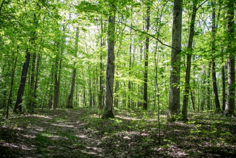 0 Pinewood Road Franklin TN 37064