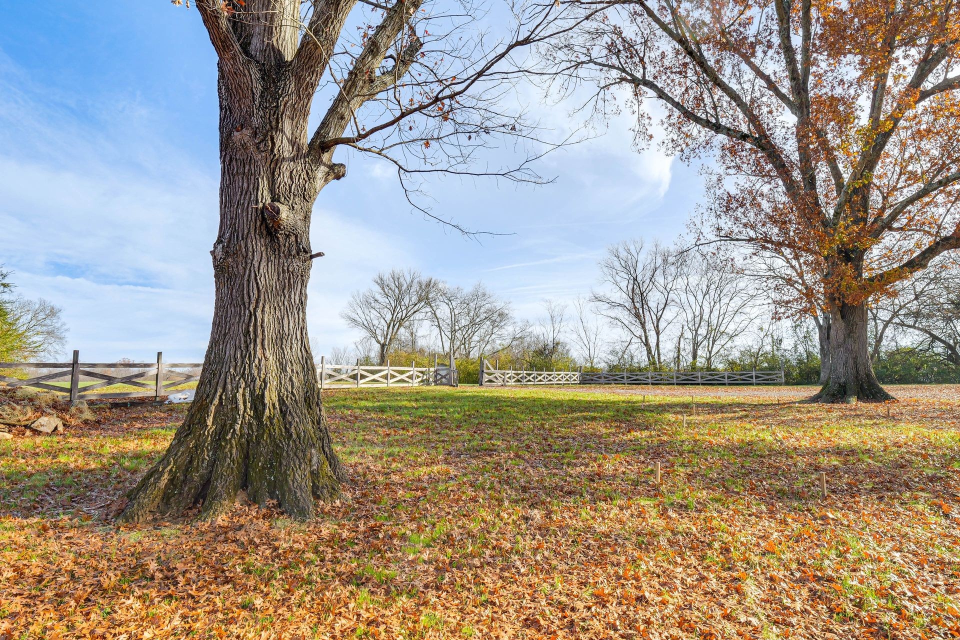 319 E Hill Avenue Lewisburg TN 37091