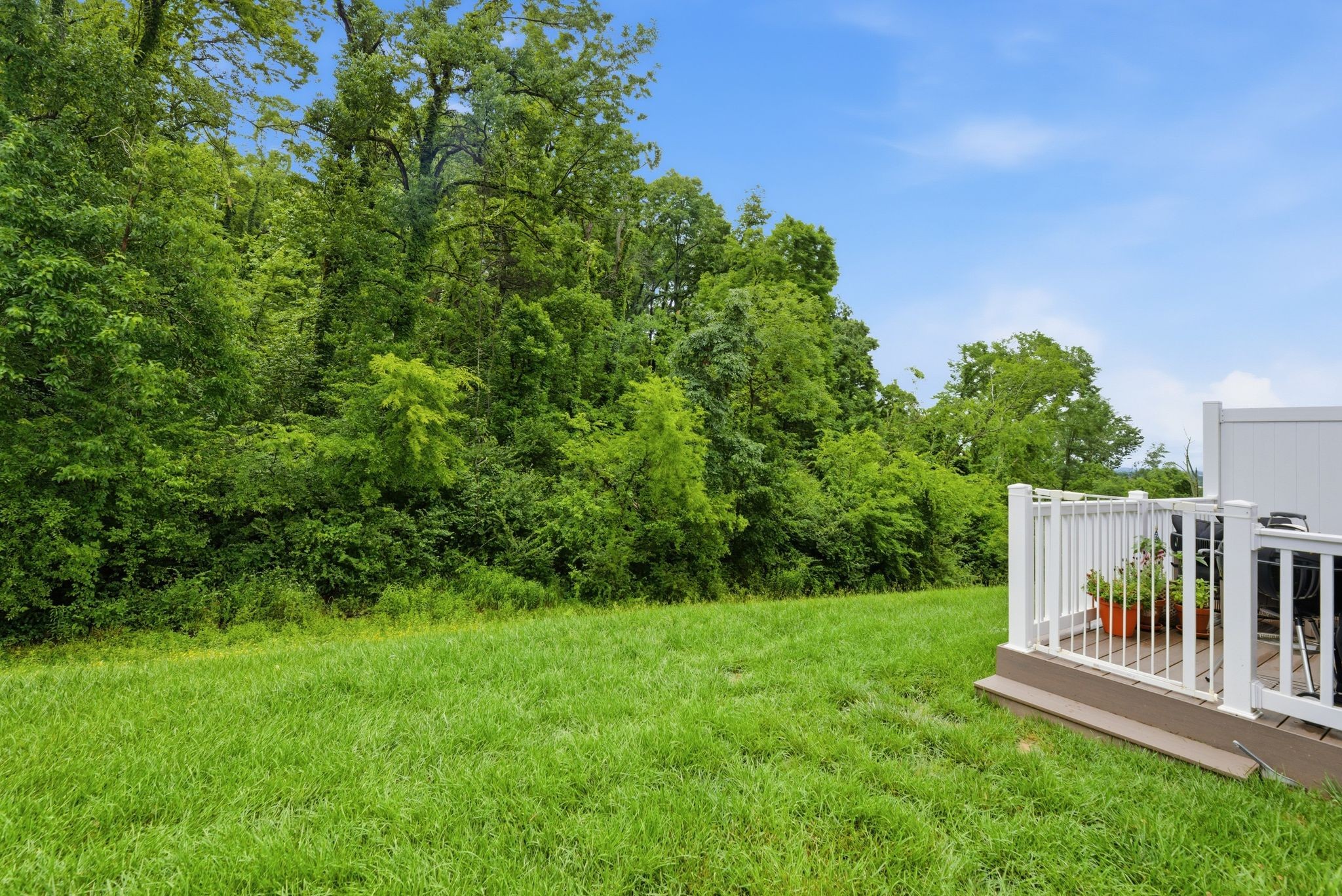 1048 Mountain View Drive Thompsons Station TN 37179