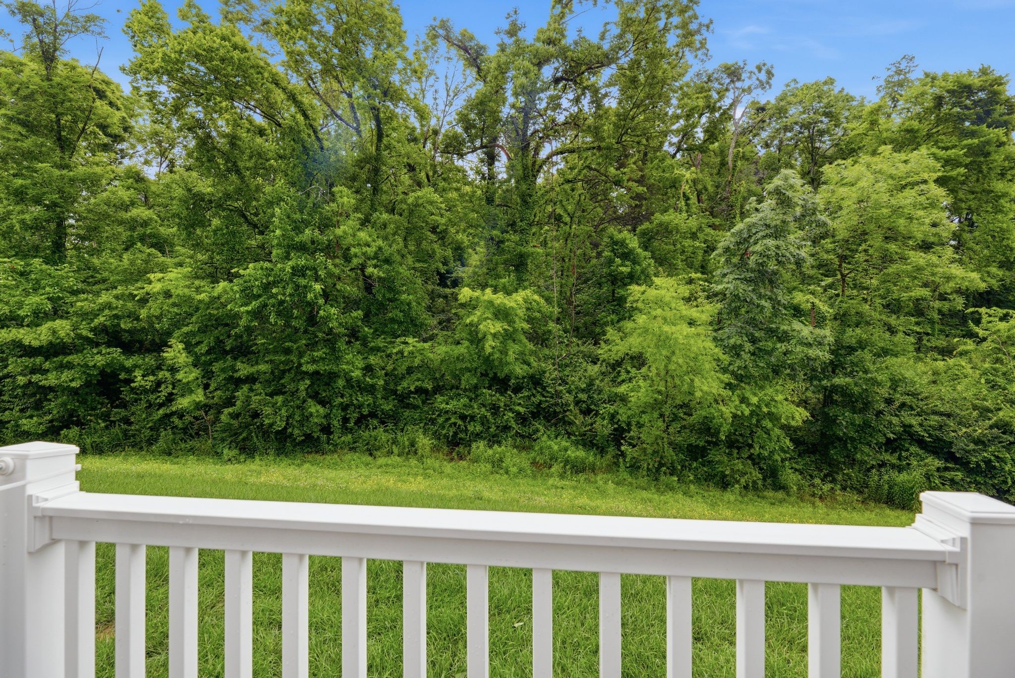 1048 Mountain View Drive Thompsons Station TN 37179