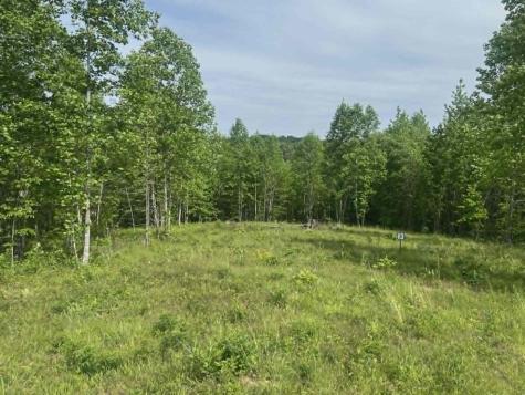 0 Freedom Ridge Indian Mound TN 37079