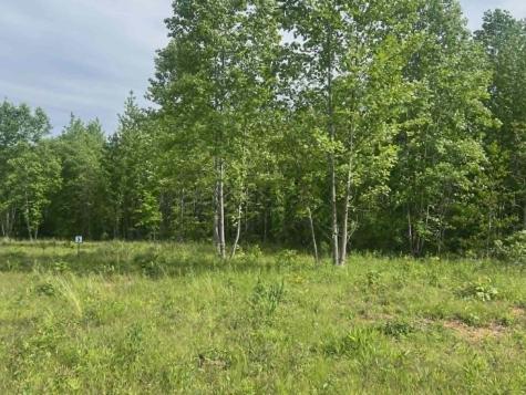 0 Freedom Ridge Indian Mound TN 37079