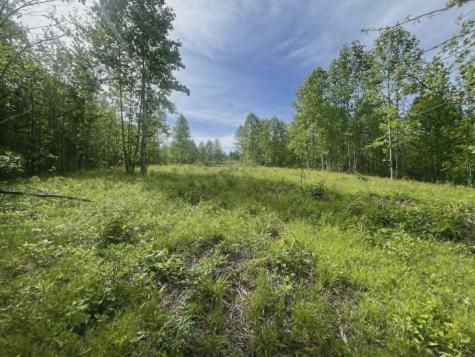 0 Freedom Ridge Indian Mound TN 37079