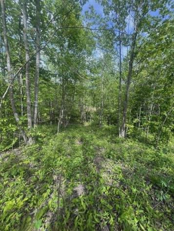 0 Freedom Ridge Indian Mound TN 37079