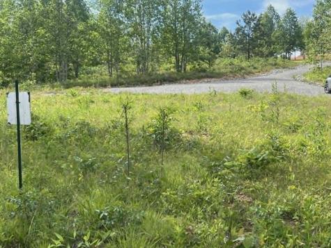 0 Freedom Ridge Indian Mound TN 37079