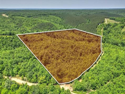 0 Ridgetop Road Hampshire TN 38461