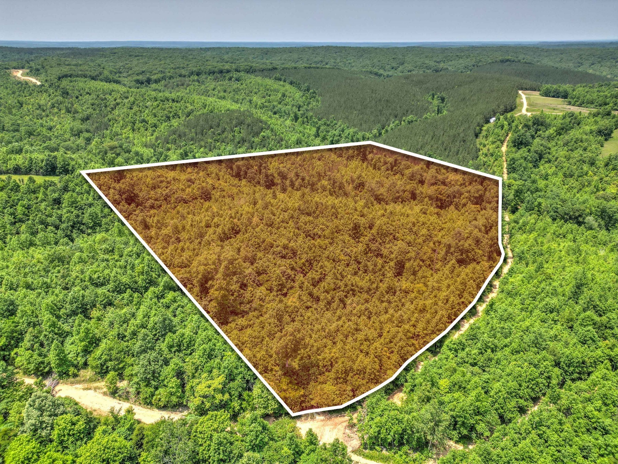 0 Ridgetop Road Hampshire TN 38461
