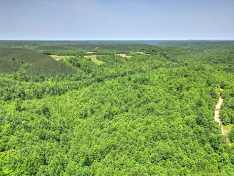 0 Ridgetop Road Hampshire TN 38461