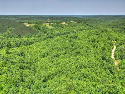 0 Ridgetop Road Hampshire TN 38461