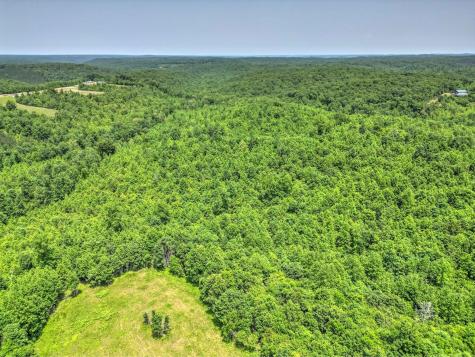 0 Ridgetop Road Hampshire TN 38461