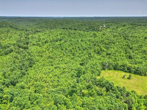0 Ridgetop Road Hampshire TN 38461