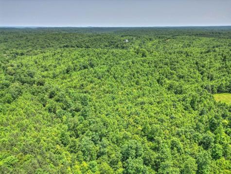0 Ridgetop Road Hampshire TN 38461