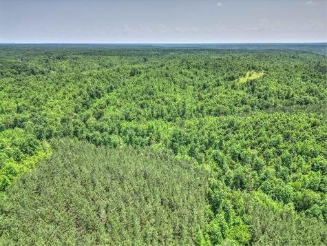 0 Ridgetop Road Hampshire TN 38461