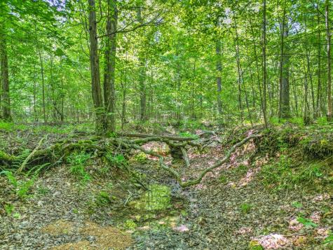 0 Ridgetop Road Hampshire TN 38461
