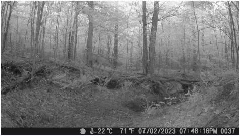 0 Ridgetop Road Hampshire TN 38461