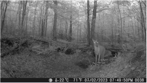 0 Ridgetop Road Hampshire TN 38461