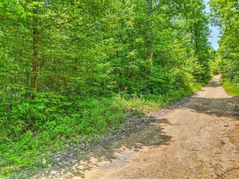 0 Ridgetop Road Hampshire TN 38461