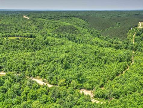 0 Ridgetop Road Hampshire TN 38461