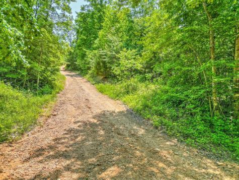 0 Ridgetop Road Hampshire TN 38461