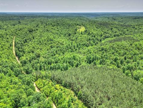0 Ridgetop Road Hampshire TN 38461