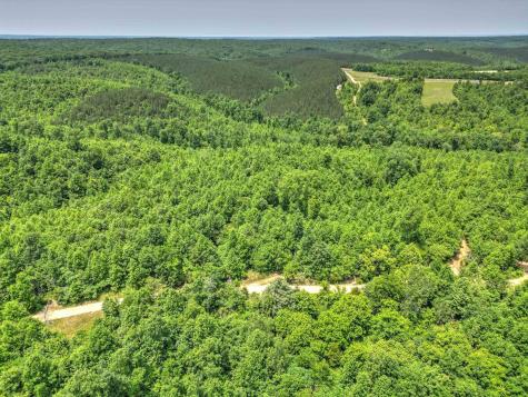 0 Ridgetop Road Hampshire TN 38461