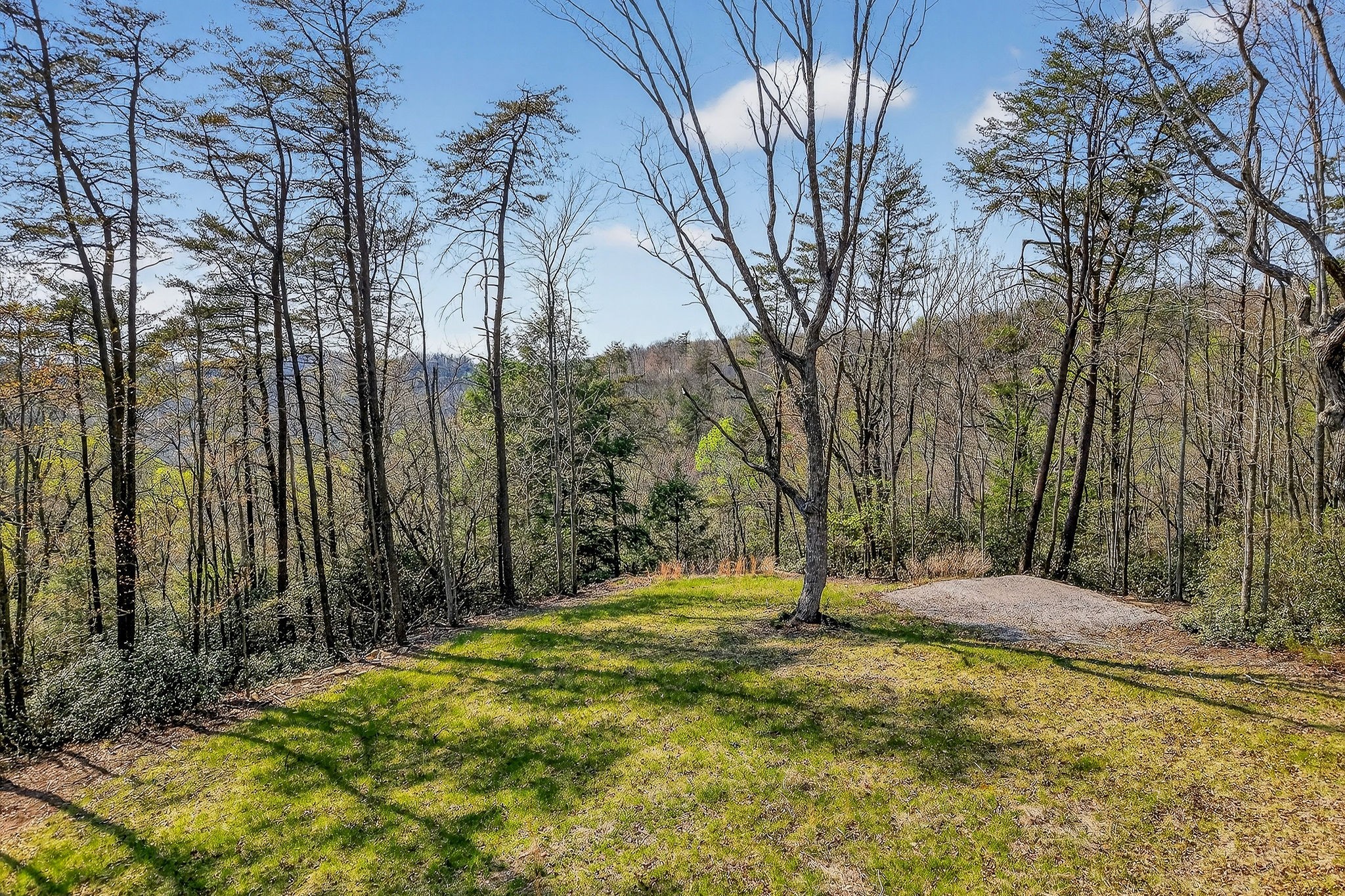 31 Reeves Place Monterey TN 38574